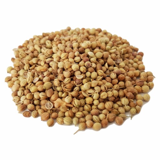  عکس تخم گشنیز